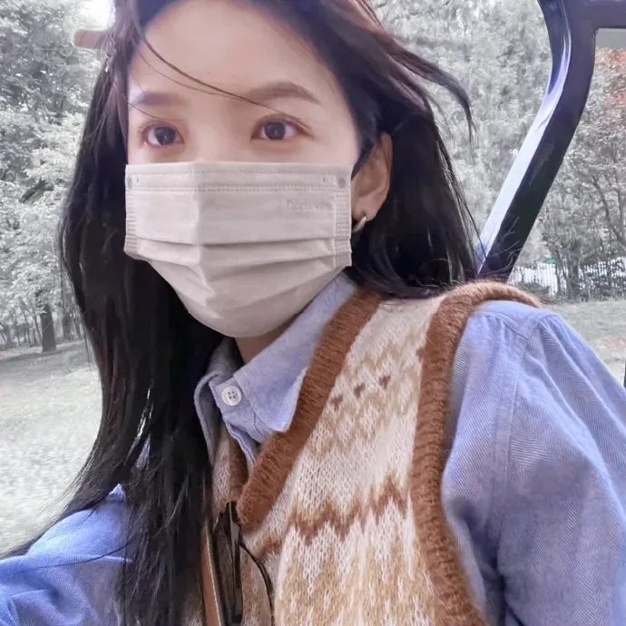 新醉打金枝国语